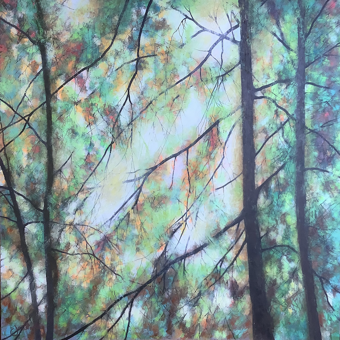 Sunlight in the Forest painting by Jo Starkey