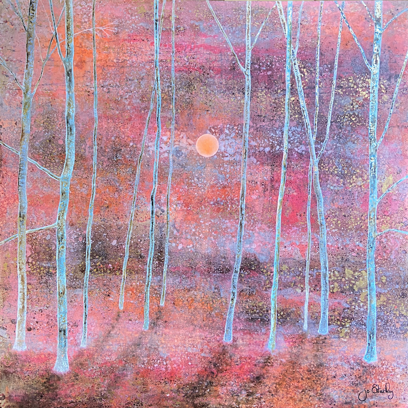 Silver birch trees against pink and orange sky